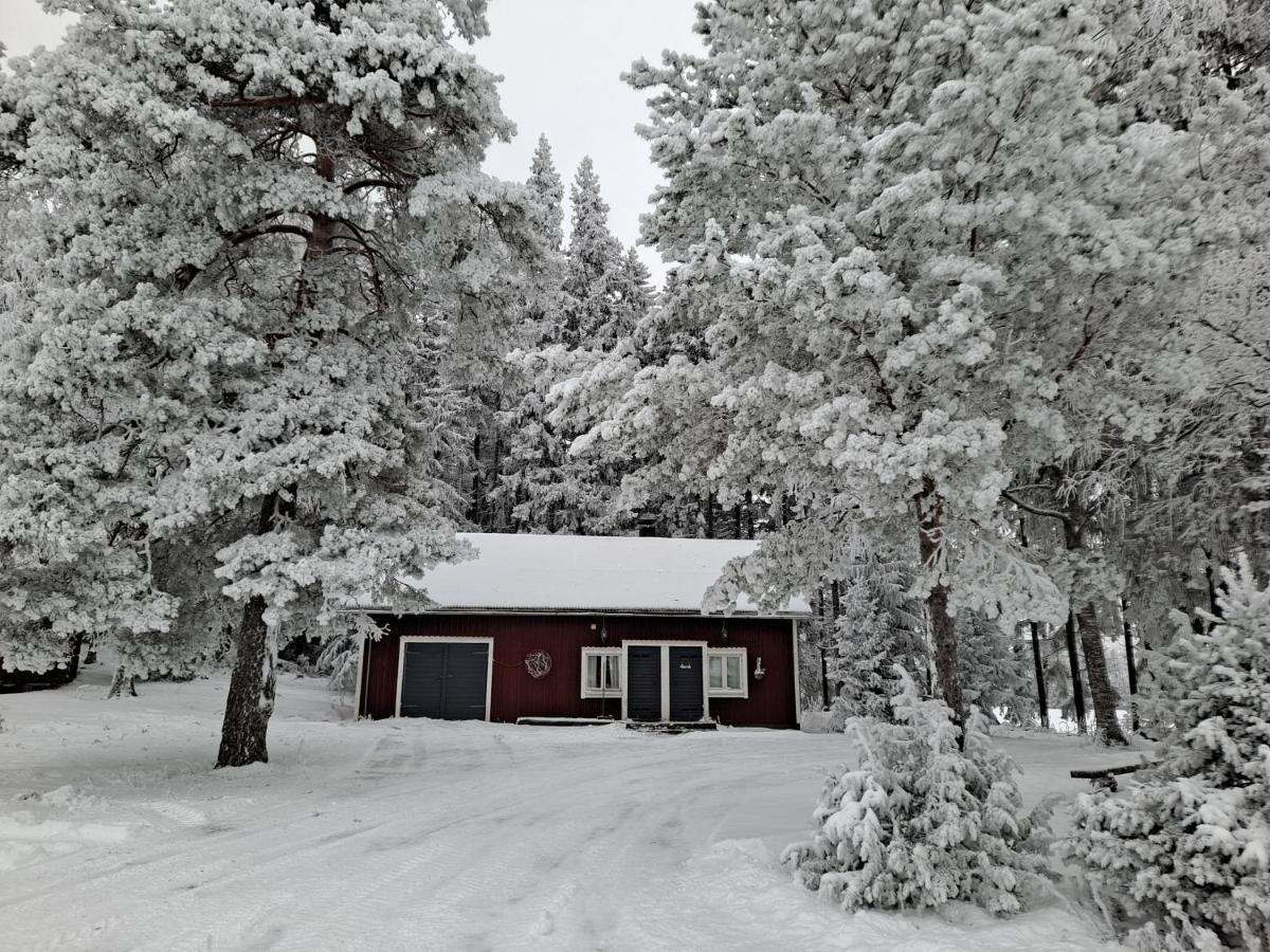 Levomaeki Farm Cottages Ypaja 외부 사진