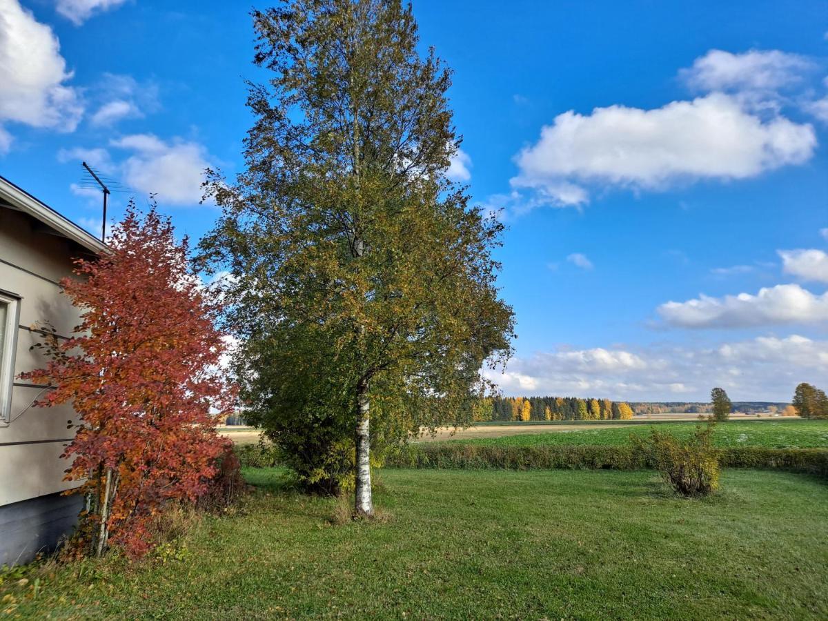 Levomaeki Farm Cottages Ypaja 외부 사진