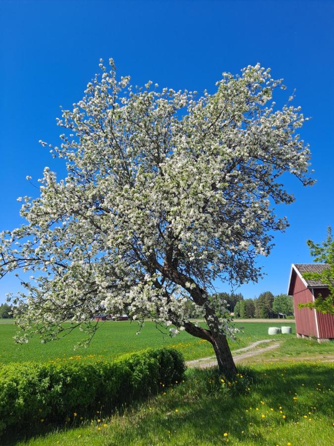 Levomaeki Farm Cottages Ypaja 외부 사진